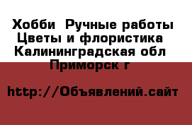 Хобби. Ручные работы Цветы и флористика. Калининградская обл.,Приморск г.